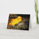 Search for scripture cards Peace