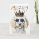 Search for standard poodles cards Dogs
