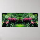 Search for pine cone posters Photography