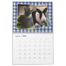 Search for bunny calendars Rescue
