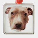Search for pit bull christmas tree decorations Animal