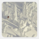 Search for backcountry skiing stickers Snow