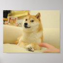 Search for doge meme posters Internet