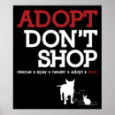 Search for adopt an animal sign posters Neuter