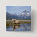 Search for steve badges Alaska