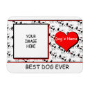 Search for customizeable magnets Cute
