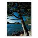 Search for acadia national park Water