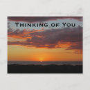 Search for pacific postcards West coast