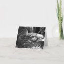 Search for watcher cards Wildlife