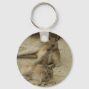 Search for catch key rings Cute