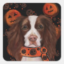 Search for english springer spaniel stickers Halloween