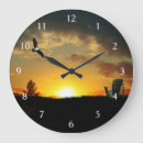 Search for numbers clocks Bird