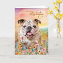 Search for english bulldog cards Dogs