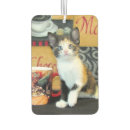 Search for coffee car accessories Kitten