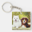 Search for samoyed key rings Cute