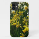 Search for white daffodil iphone cases Flower