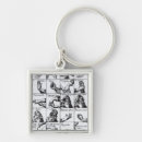 Search for abc alphabet key rings Language