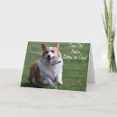 Search for welsh corgi pembroke postcards Pets