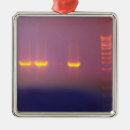 Search for dna christmas tree decorations Biology