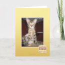 Search for moron cards I can has cheezburger