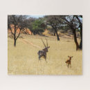 Search for namibia puzzles Animal