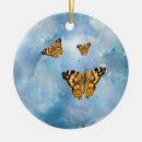 Search for bug pics Blue