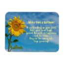 Search for sunflower designs Summer