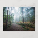 Search for footpath postcards Forest