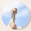 Search for mountain coasters Animals