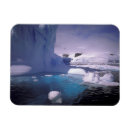 Search for antarctica magnets Ice floe
