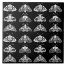 Search for moth tiles Insects