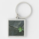 Search for natural world key rings Outdoors