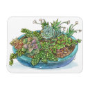 Search for round rectangular magnets Illustration