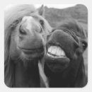 Search for horse pictures stickers Animals