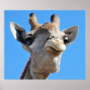 Search for profiling posters Animal