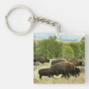 Search for buffalo square key rings Yellowstone