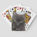Search for black cat playing cards Pet