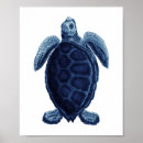 Search for painted turtle posters For her