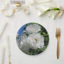 Search for vintage roses plates Shabby