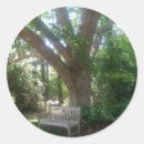 Search for shady stickers Tree
