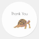 Search for cute tortoise stickers Fun