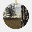 Search for sunset christmas tree decorations Nature