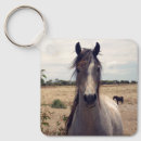 Search for arabian horse accessories Animal