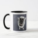 Search for height mugs Vertical