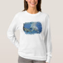 Search for bottlenosed dolphin tshirts Cozumel