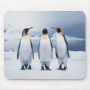 Search for wildlife mousepads nature