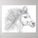 Search for mustang horses posters Horse lover