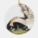 Search for skunk christmas tree decorations Mammal