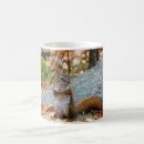 Search for cute squirrel pictures mugs Wildlife
