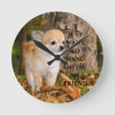 Search for chihuahua posters Leaf